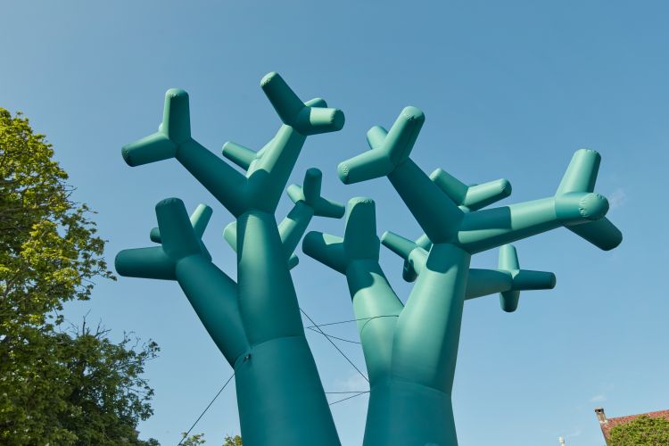 070524 BlowUp Mieke Meijer 4