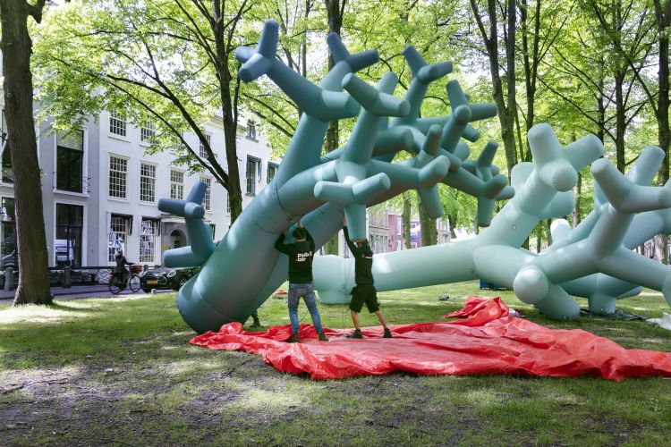 Blowup buildup Sleeuwits 20klein.